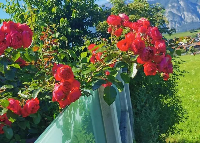 Salzmann * Ίνσμπρουκ